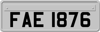 FAE1876