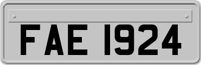 FAE1924