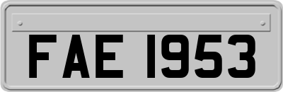 FAE1953