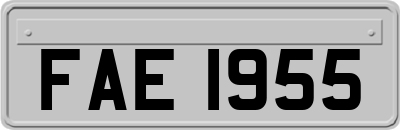 FAE1955
