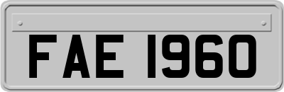 FAE1960