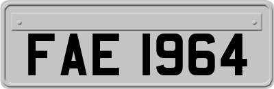 FAE1964