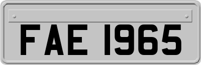 FAE1965