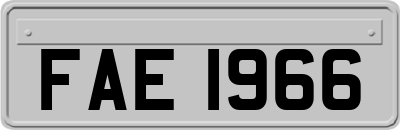 FAE1966