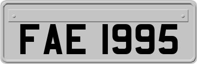 FAE1995
