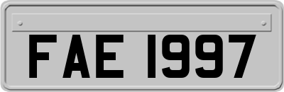 FAE1997