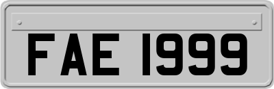 FAE1999