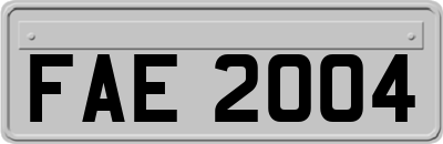 FAE2004