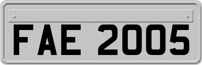 FAE2005