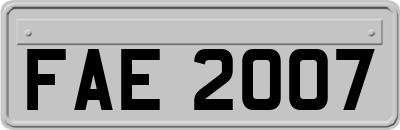 FAE2007