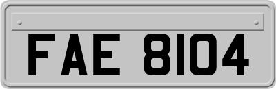 FAE8104