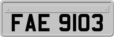 FAE9103