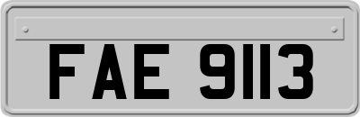 FAE9113