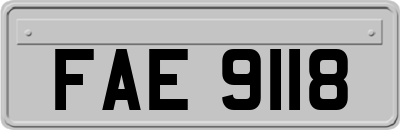 FAE9118