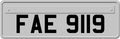 FAE9119