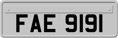 FAE9191