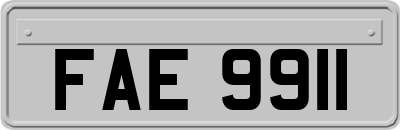 FAE9911
