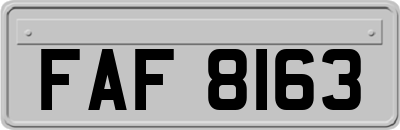 FAF8163