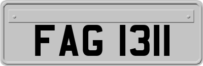 FAG1311
