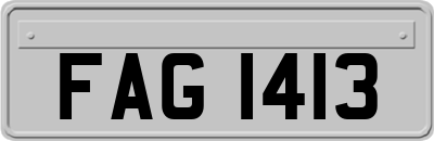 FAG1413