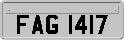 FAG1417
