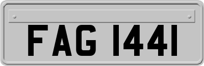 FAG1441