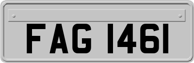 FAG1461