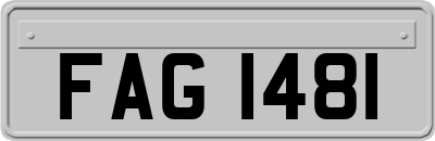 FAG1481