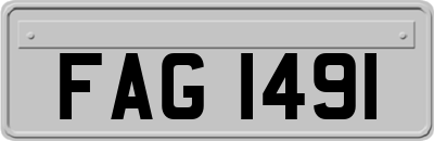 FAG1491