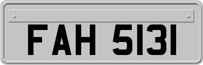 FAH5131