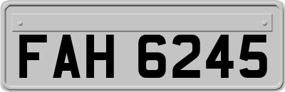 FAH6245