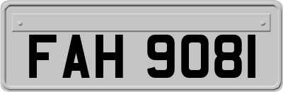 FAH9081