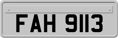 FAH9113