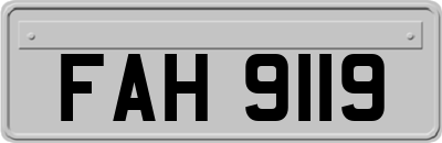 FAH9119
