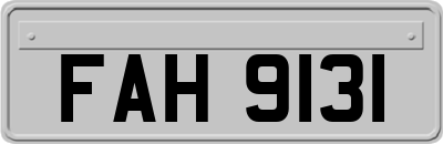 FAH9131