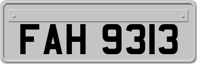 FAH9313