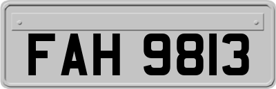 FAH9813