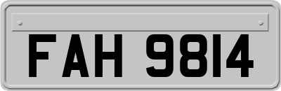 FAH9814