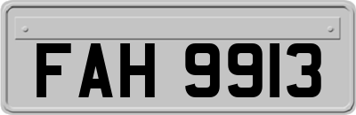 FAH9913