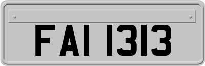 FAI1313