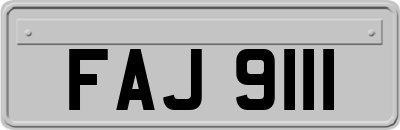 FAJ9111