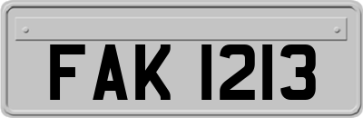 FAK1213
