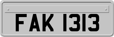 FAK1313