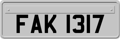 FAK1317