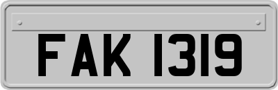 FAK1319