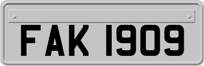 FAK1909