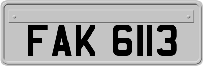 FAK6113