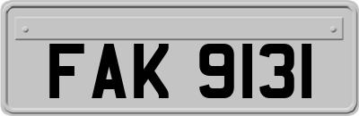 FAK9131
