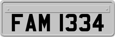 FAM1334