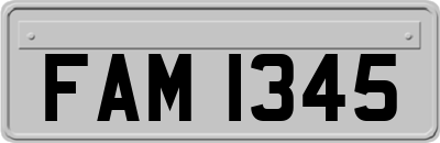 FAM1345